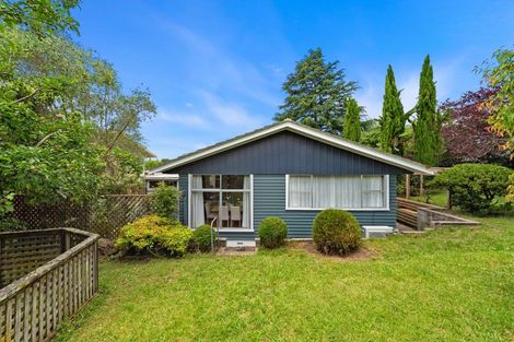 Photo of property in 30 Kowhai Street, Hamilton Lake, Hamilton, 3204