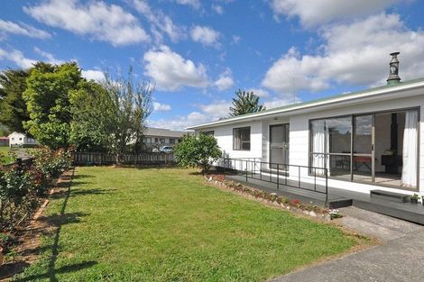 Photo of property in 12 Shoalhaven Street, Paeroa, 3600