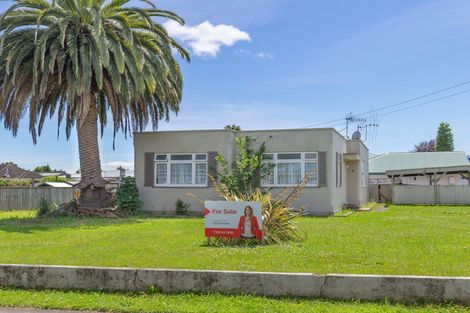 Photo of property in 68 Queen Street West, Levin, 5510