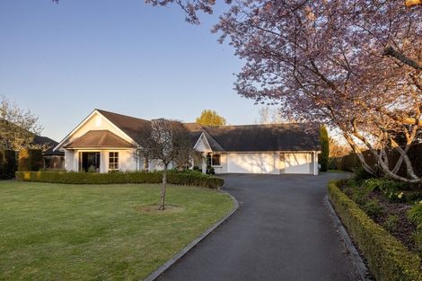 Photo of property in 8 Georgia Grove, Pyes Pa, Tauranga, 3112