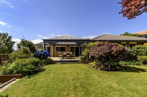 Photo of property in 6 Rochester Place, Bethlehem, Tauranga, 3110