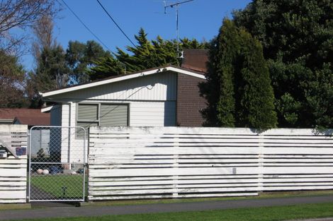 Photo of property in 24 Harrison Street West, Featherston, 5710