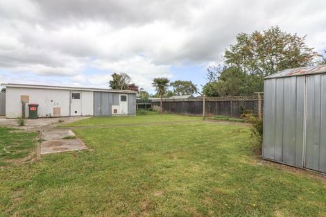 Photo of property in 15 Winchester Street, Levin, 5510