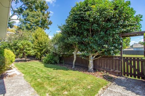 Photo of property in 12 Whakatau Street, Rotorua, 3010