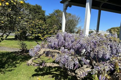 Photo of property in 76 Apatu Street, Wairoa, 4108