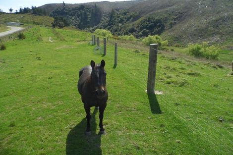 Photo of property in 350 Kowhatu Road, Waihaorunga, Waimate, 7977
