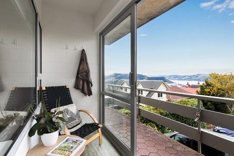 Photo of property in 19a Sheen Street, Roslyn, Dunedin, 9010