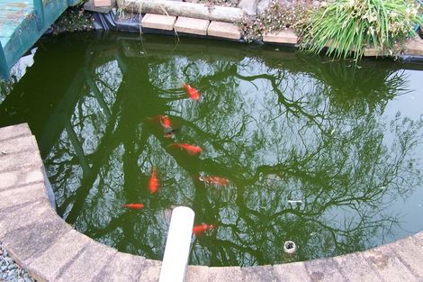 Photo of property in 37 Puriri Crescent, Edgecumbe, 3120