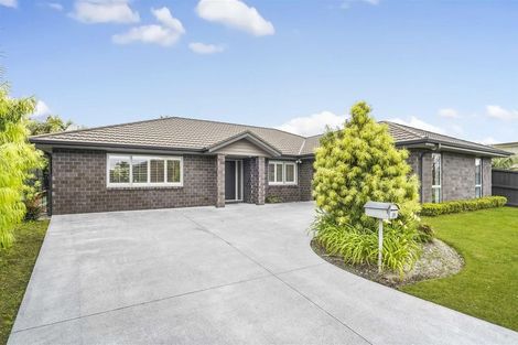 Photo of property in 29 Bentley Rise, Flagstaff, Hamilton, 3210