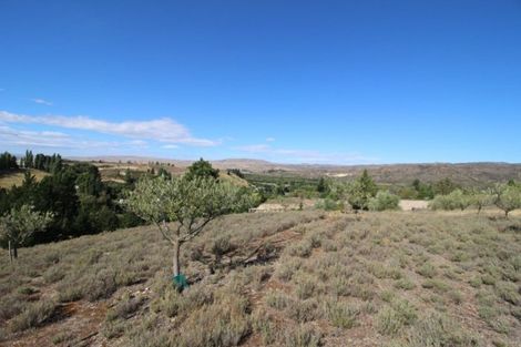 Photo of property in 85a Letts Gully Road, Letts Gully, Alexandra, 9393