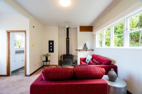 Photo of property in 137 Chapman Street, Wakari, Dunedin, 9010