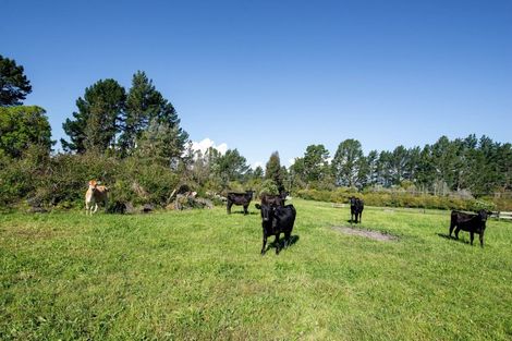 Photo of property in 350a Dalbeth Road, Hamurana, Rotorua, 3072