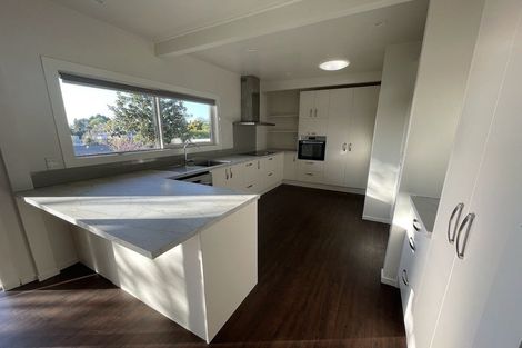 Photo of property in 48 Edinburgh Road, Hillcrest, Hamilton, 3216