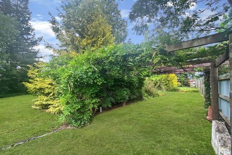 Photo of property in 55 Rata Road, Twizel, 7901