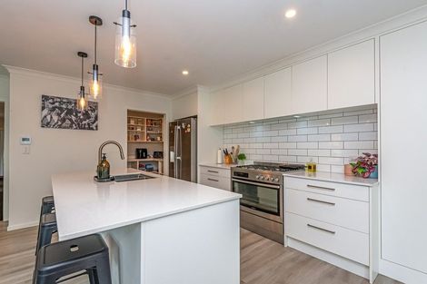 Photo of property in 153 Stanford Street North, Ashhurst, 4810