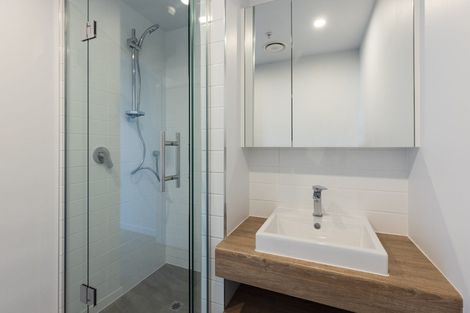 Photo of property in Pinnacle Apartments, W405/160 Victoria Street, Te Aro, Wellington, 6011