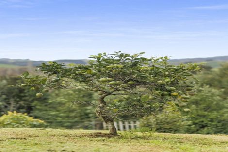 Photo of property in 49 Gorge Road, Maungaturoto, 0520