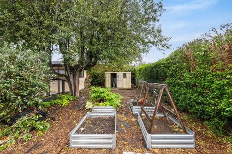 Photo of property in 19 Belfield Street, Dallington, Christchurch, 8061