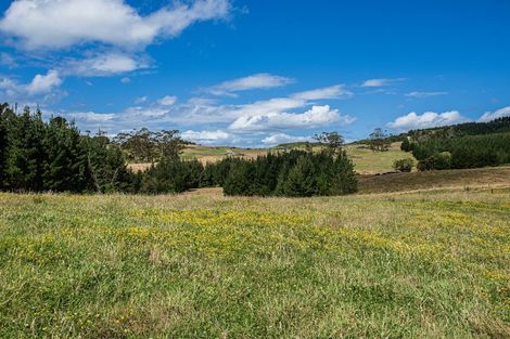Photo of property in 436 Glenmohr Road, Waipu, 0582