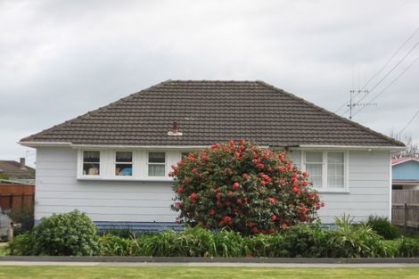 Photo of property in 51 Winchester Street, Levin, 5510