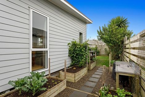 Photo of property in 64b Pohutu Street, Whakatane, 3120