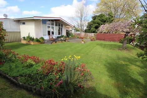 Photo of property in 19 King Street, Feilding, 4702