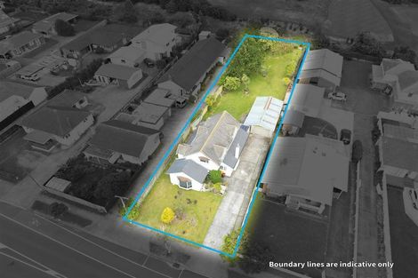 Photo of property in 125 Portage Road, New Lynn, Auckland, 0600