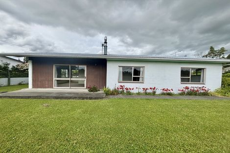 Photo of property in 22 Vickerman Street, Grovetown, Blenheim, 7202