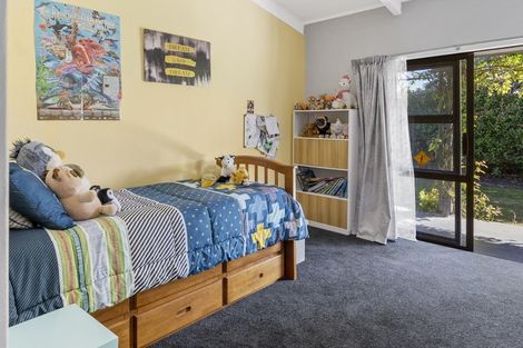 Photo of property in 58 Leefield Street, Blenheim, 7201