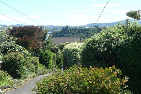 Photo of property in 51 Sunbury Street, Andersons Bay, Dunedin, 9013