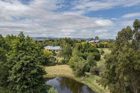 Photo of property in 294 Porangahau Road, Waipukurau, 4282