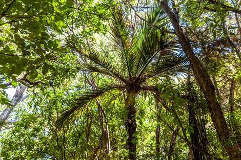 Photo of property in 102 Waihirere Drive, Tuateawa, Coromandel, 3583