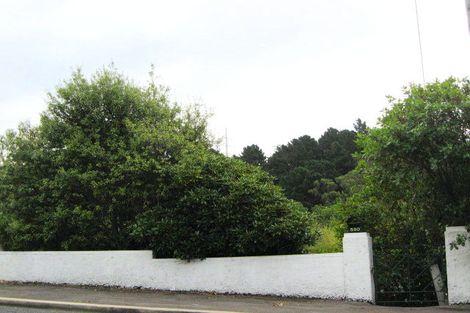 Photo of property in 520 South Road, Calton Hill, Dunedin, 9012