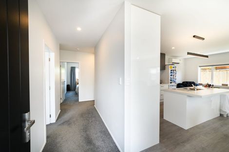 Photo of property in 34b Campbell Street, Palmerston North, 4410