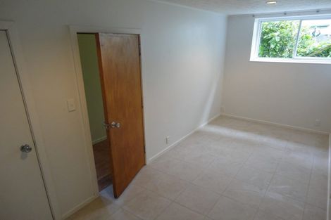 Photo of property in 36 Havelock Street, Mornington, Wellington, 6021