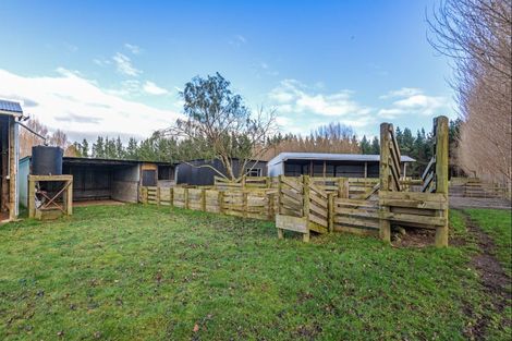 Photo of property in 334 Mount Biggs Road, Halcombe, Feilding, 4779