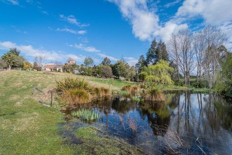Photo of property in 214 Rosebrook Road, Claremont, Timaru, 7974