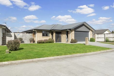 Photo of property in 18 Shrule Place, Huntington, Hamilton, 3210