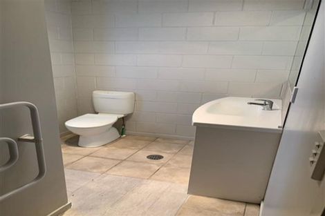 Photo of property in 46b York Street, Hamilton East, Hamilton, 3216