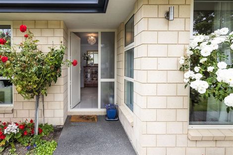 Photo of property in 217 Taylor Pass Road, Witherlea, Blenheim, 7201