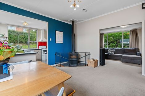 Photo of property in 32 Ventnor Street, Mornington, Dunedin, 9011