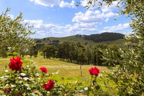 Photo of property in 237 J V Grant Road, Wellsford, 0973