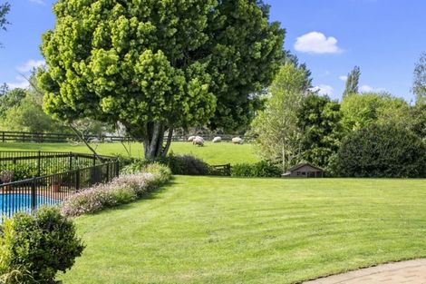 Photo of property in 156 Rosebanks Drive, Tamahere, Hamilton, 3283