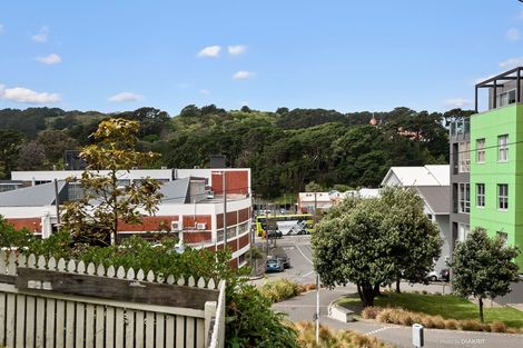 Photo of property in 30 Drummond Street, Mount Cook, Wellington, 6021