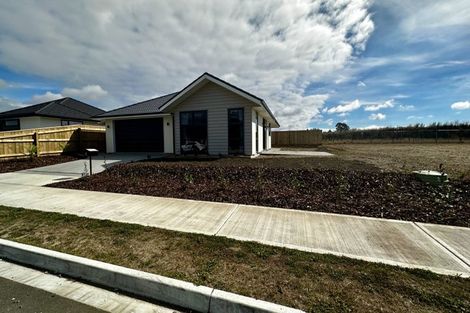 Photo of property in 6 Rosales Street, Appleby, Richmond, 7020