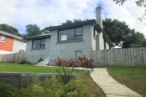 Photo of property in 50 Waldron Crescent, Green Island, Dunedin, 9018