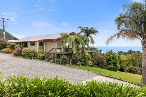 Photo of property in State Highway 35, Te Kaha, 3199