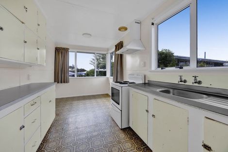 Photo of property in 97 Brecon Road, Stratford, 4332