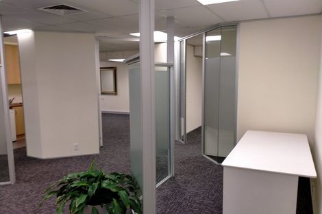 Photo of property in 8a Madeira Lane, Grafton, Auckland, 1023