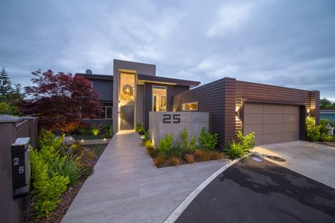 Photo of property in 25 Trent Avenue, Hokowhitu, Palmerston North, 4410